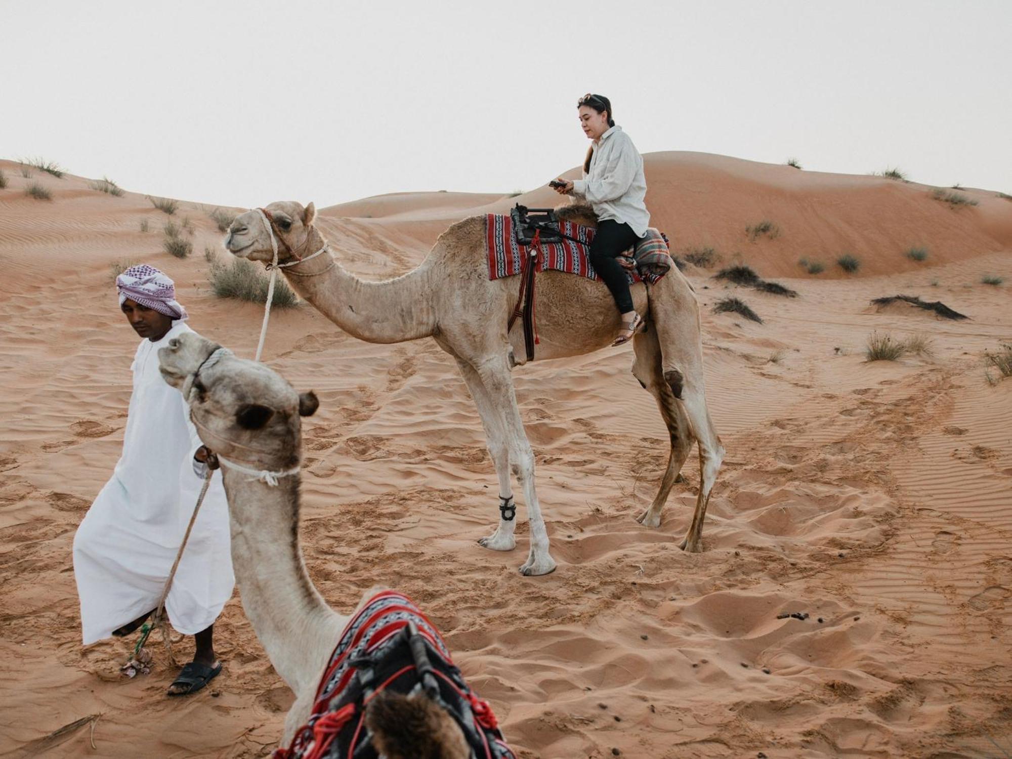 Desert Waves Camp Badīyah 외부 사진
